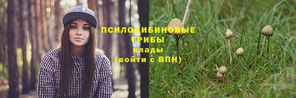 метадон Пестово