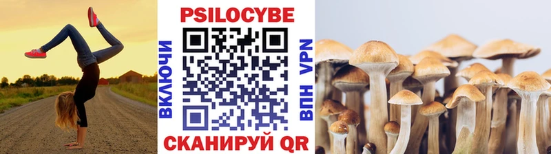Псилоцибиновые грибы Psilocybe  Нефтеюганск 